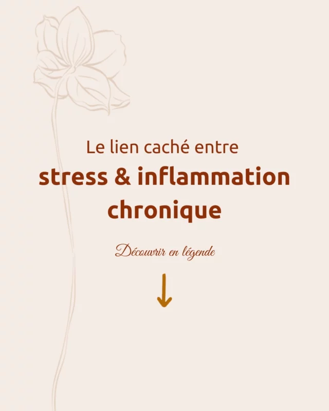 🧠 Le lien caché entre stress & inflammation chronique 🔥

Le stress n’est pas qu’un état mental…
Lorsqu’il devient chronique, il active une réponse de survie permanente qui déclenche une inflammation généralisée.

Résultat ? Fatigue, douleurs articulaires, troubles digestifs et même maladies auto-immunes 😨

La bonne nouvelle ? Tu peux rompre ce cercle !
 ✔️ Respiration & breathwork
 ✔️ Mouvement & activité physique
 ✔️ Alimentation anti-inflammatoire
 ✔️ Sommeil & relaxation profonde

✨ Et si tu offrais à ton corps plus de sécurité et de bienveillance dès aujourd’hui ?

👉 Rejoins la Communauté Inspire (lien en Bio) pour découvrir des pratiques concrètes et avancer ensemble 💙 

#Stress #InflammationChronique #SantéHolistique #BienÊtre #GestionDuStress #Respiration #Breathwork #AlimentationSaine #ÉquilibreDeVie #SantéNaturelle #DétoxÉmotionnelle #FatigueChronique #Bienveillance #SommeilRéparateur #ÉnergiePositive